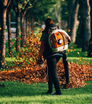 Japanese garden design